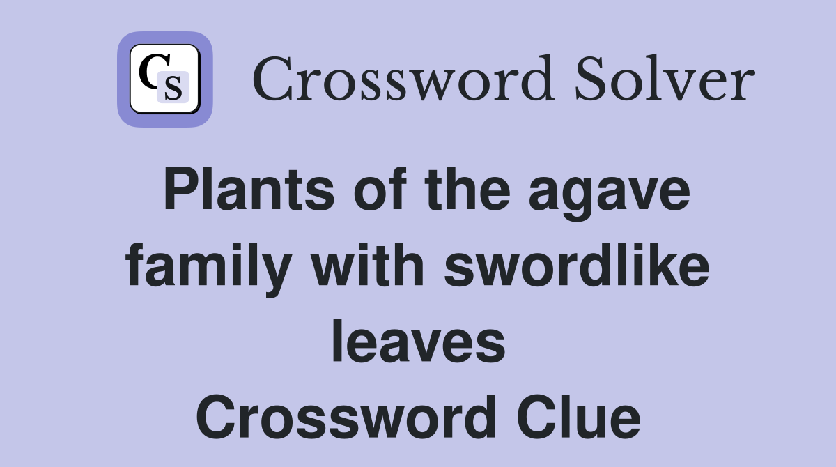 Plants of the agave family with swordlike leaves Crossword Clue