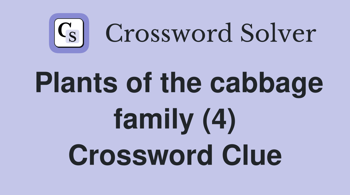 Plants of the cabbage family (4) Crossword Clue