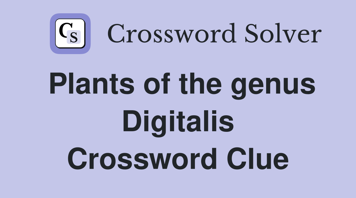 Plants of the genus Digitalis Crossword Clue