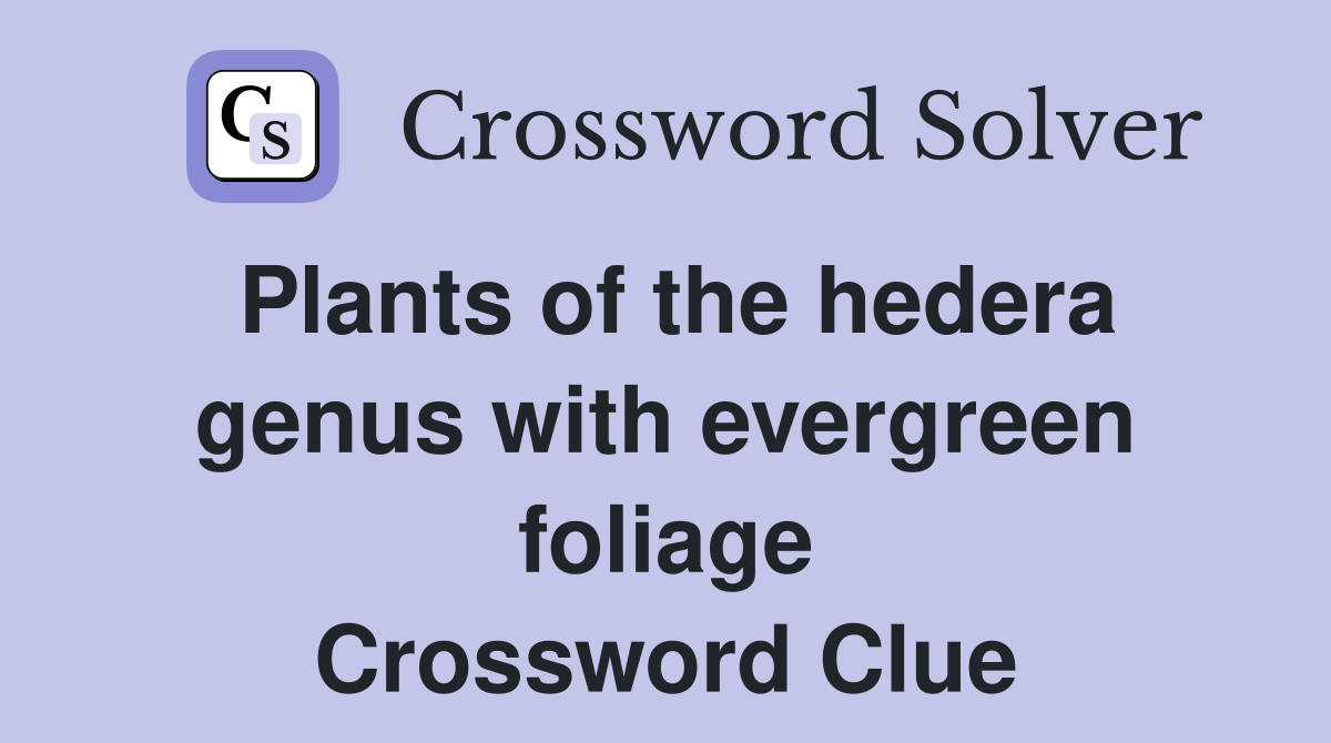 Plants of the hedera genus with evergreen foliage Crossword Clue