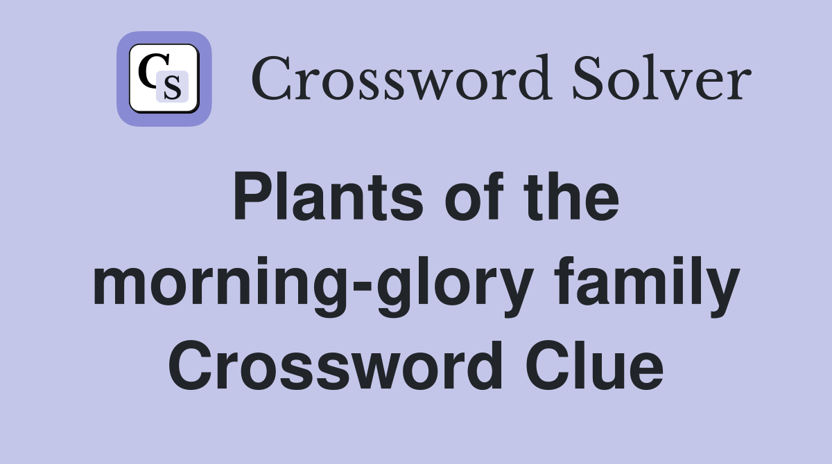 Plants of the morning-glory family Crossword Clue