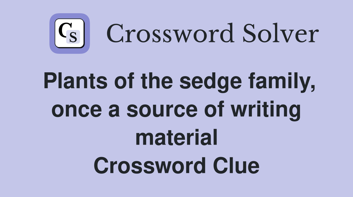 Plants of the sedge family, once a source of writing material Crossword Clue