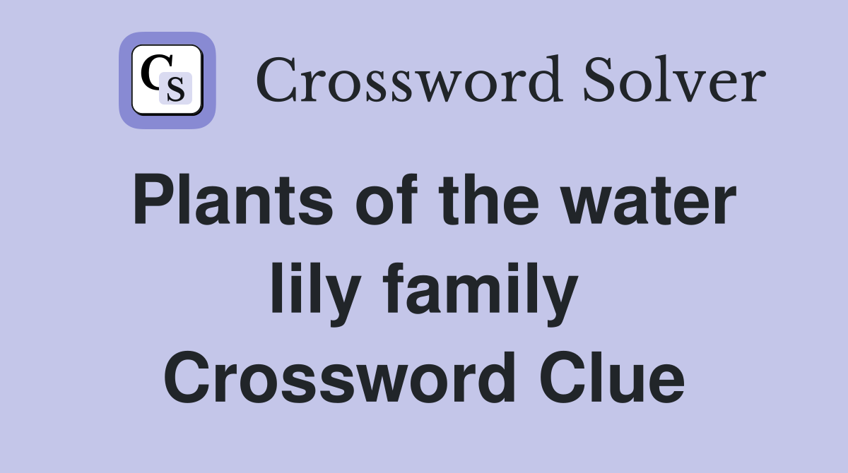 Plants of the water lily family Crossword Clue