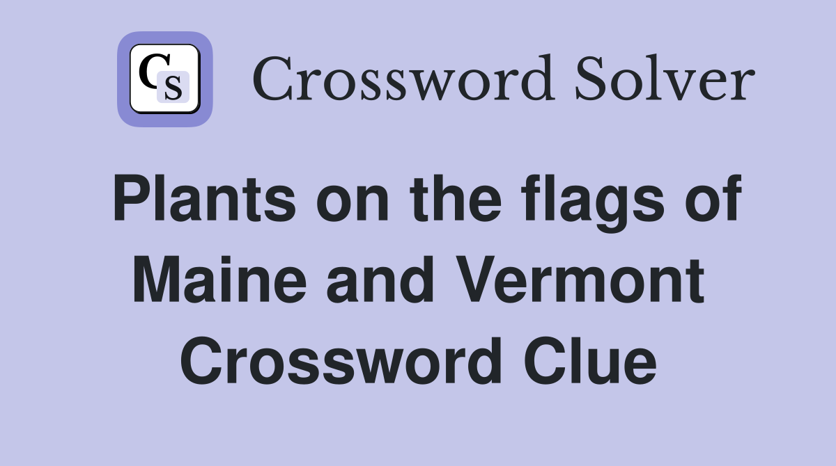 Plants on the flags of Maine and Vermont Crossword Clue