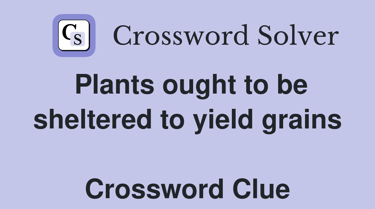 Plants ought to be sheltered to yield grains  Crossword Clue