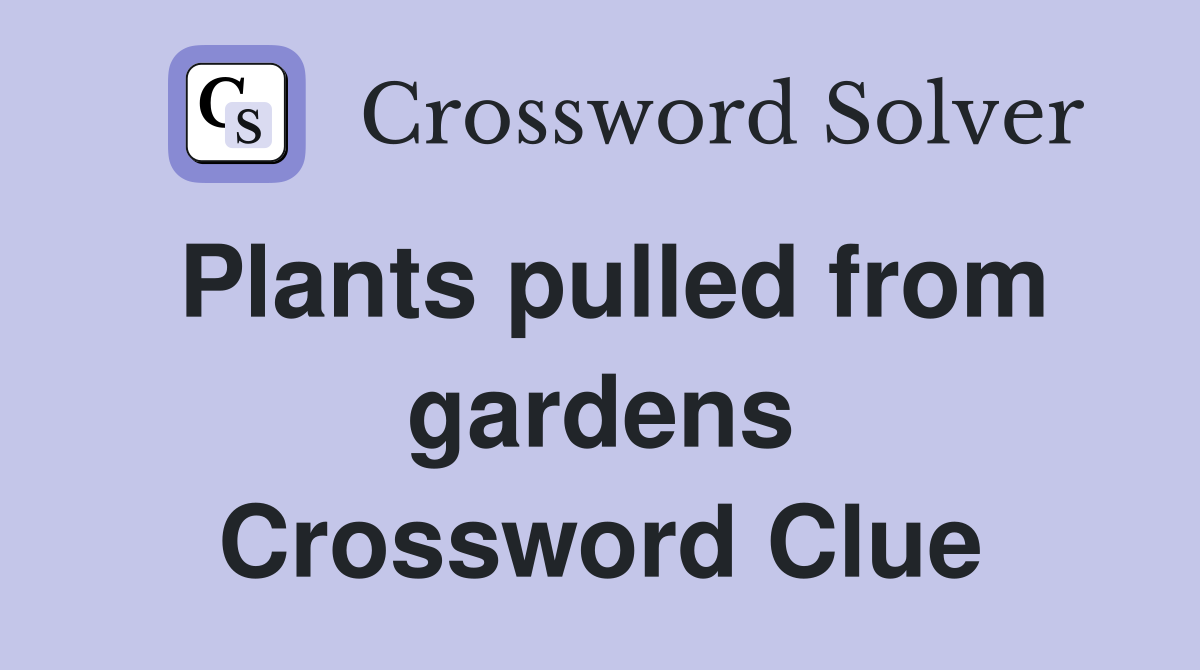 Plants pulled from gardens Crossword Clue