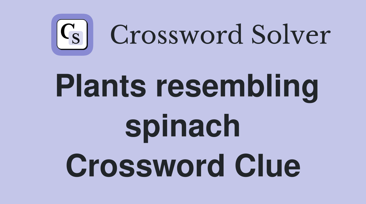 Plants resembling spinach Crossword Clue