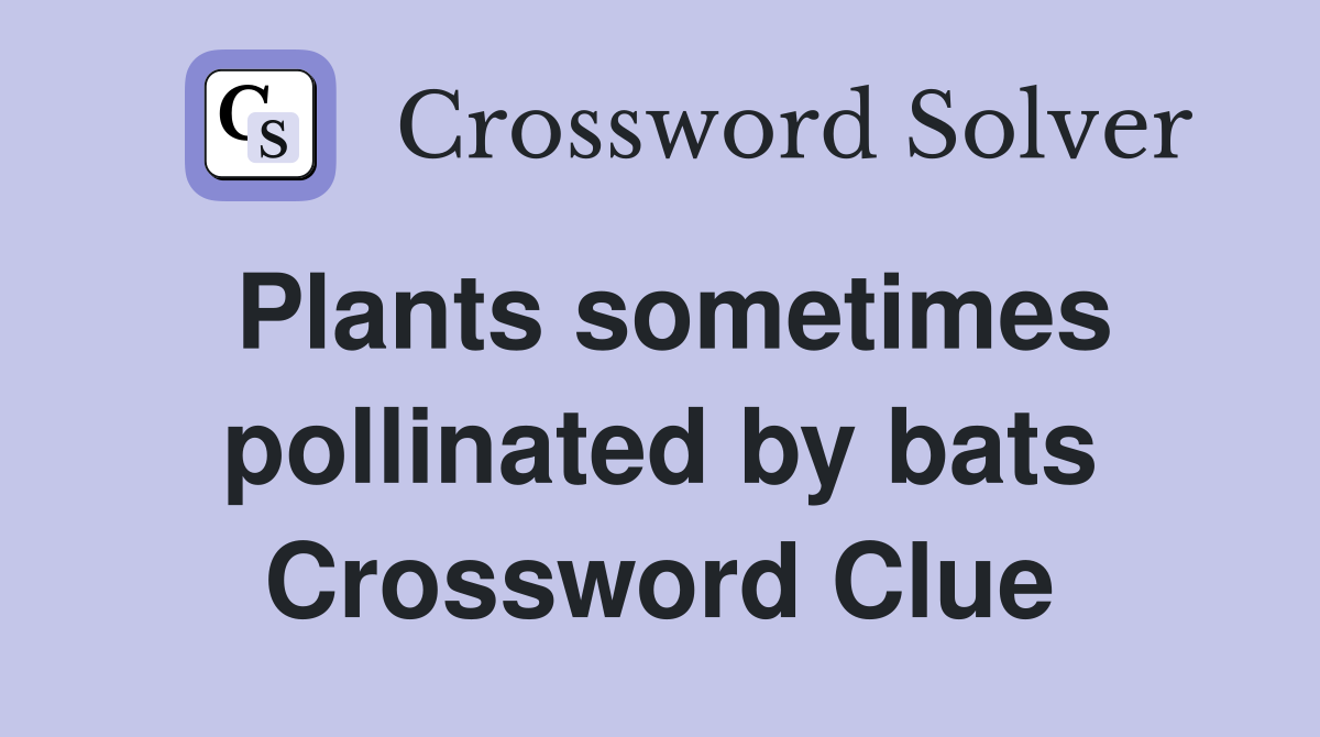 Plants sometimes pollinated by bats Crossword Clue