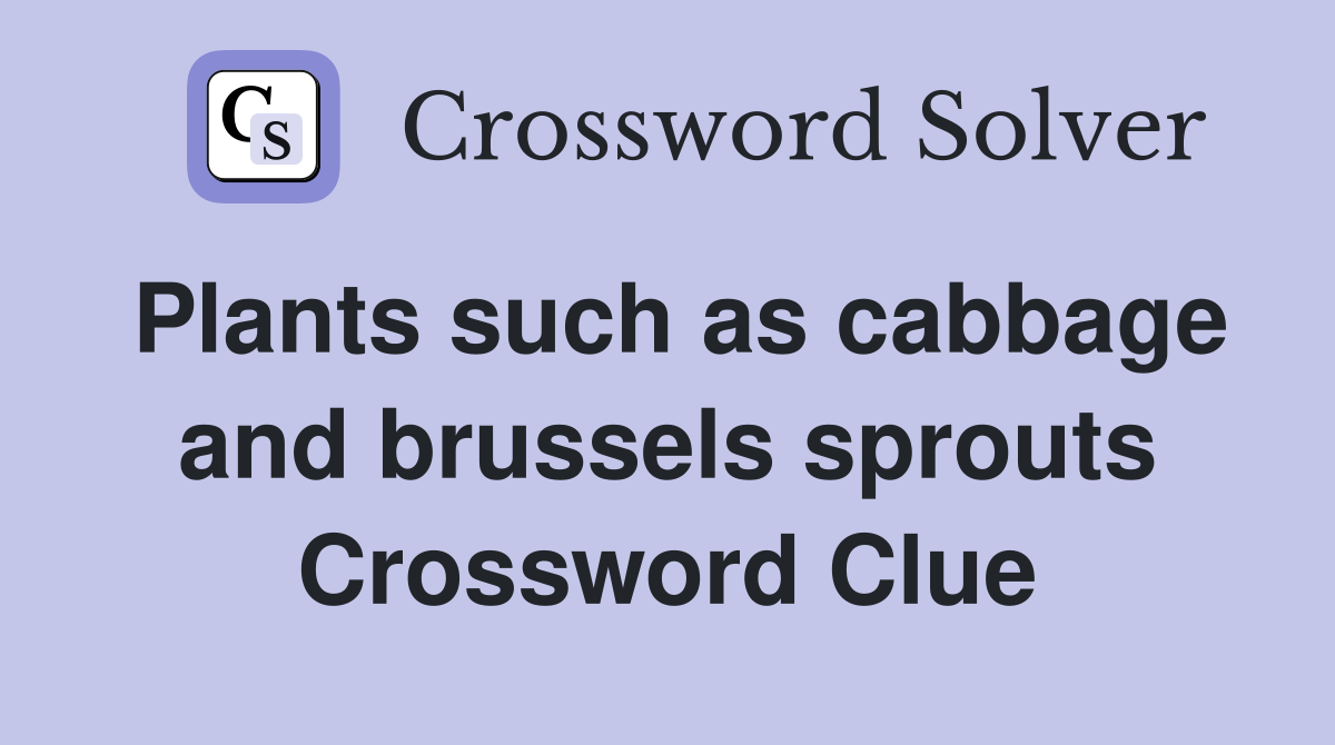 Plants such as cabbage and brussels sprouts Crossword Clue