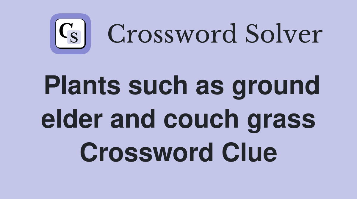 Plants such as ground elder and couch grass Crossword Clue