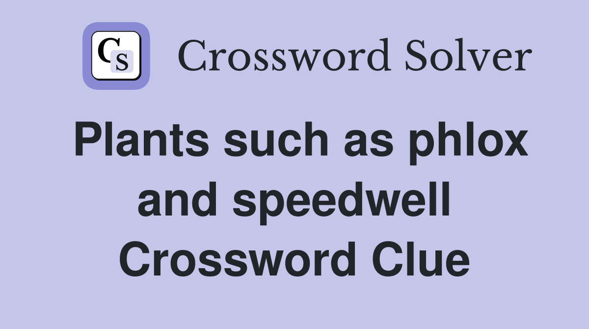 Plants such as phlox and speedwell Crossword Clue