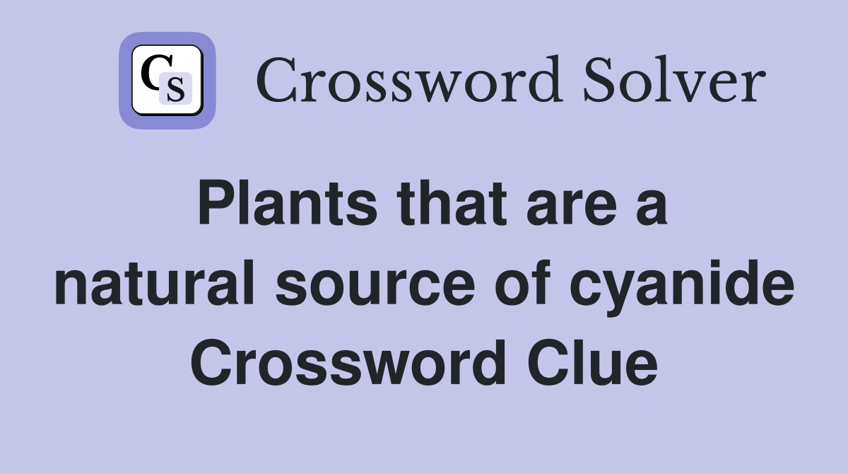Plants that are a natural source of cyanide Crossword Clue