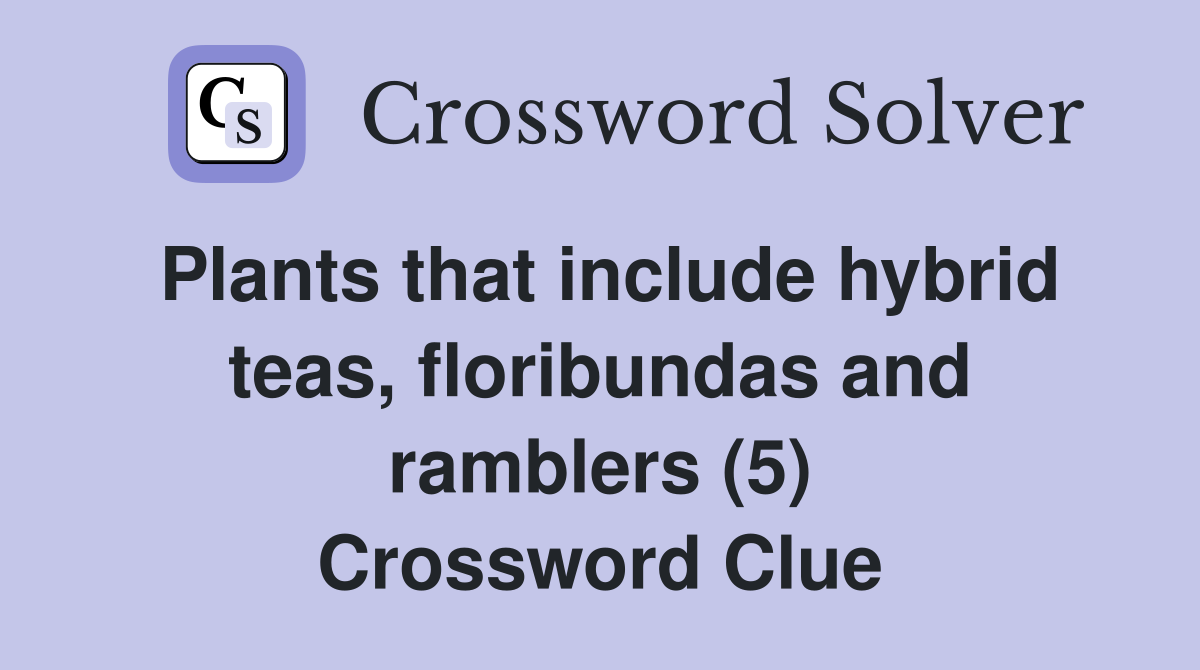 Plants that include hybrid teas, floribundas and ramblers (5) Crossword Clue