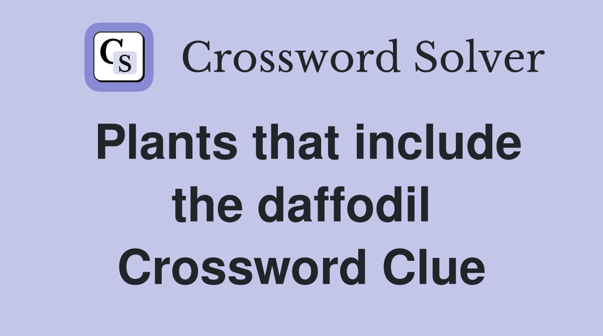 Plants that include the daffodil Crossword Clue