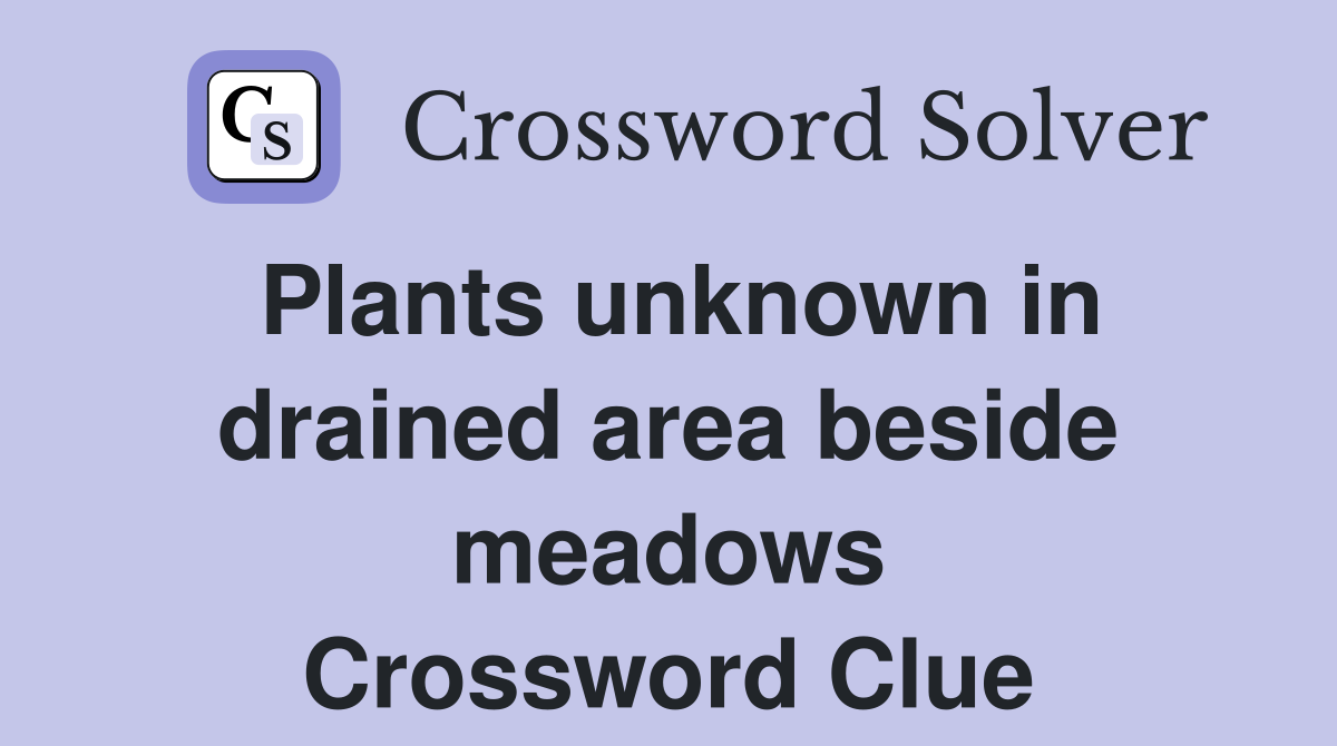 Plants unknown in drained area beside meadows Crossword Clue