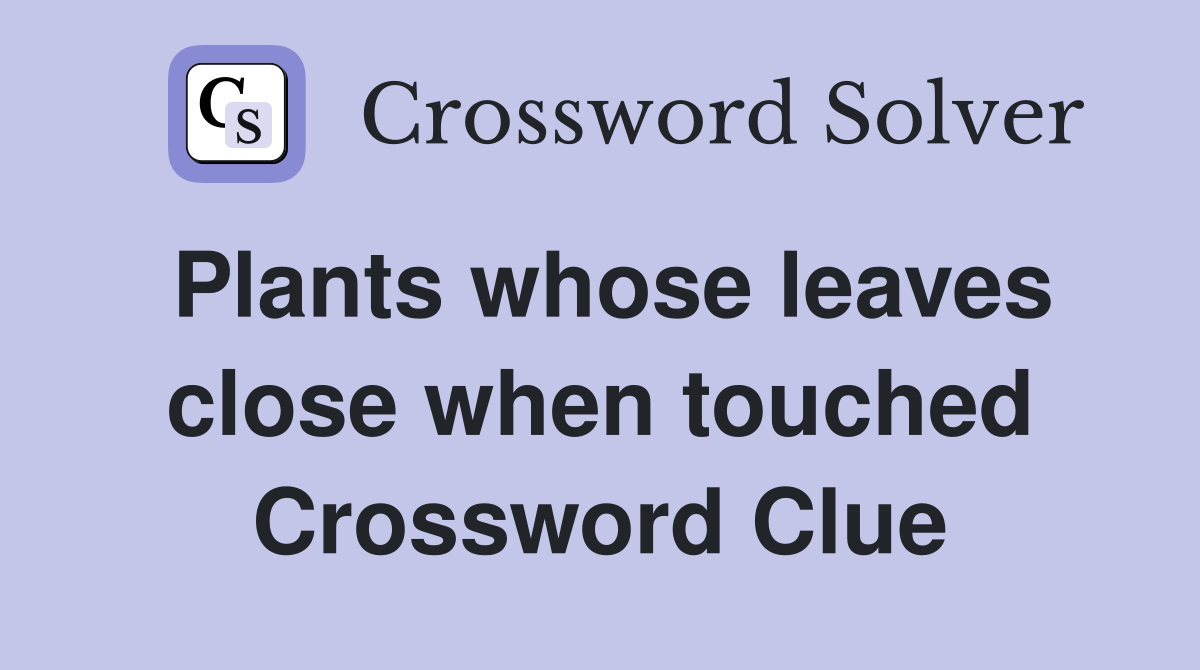 Plants whose leaves close when touched Crossword Clue