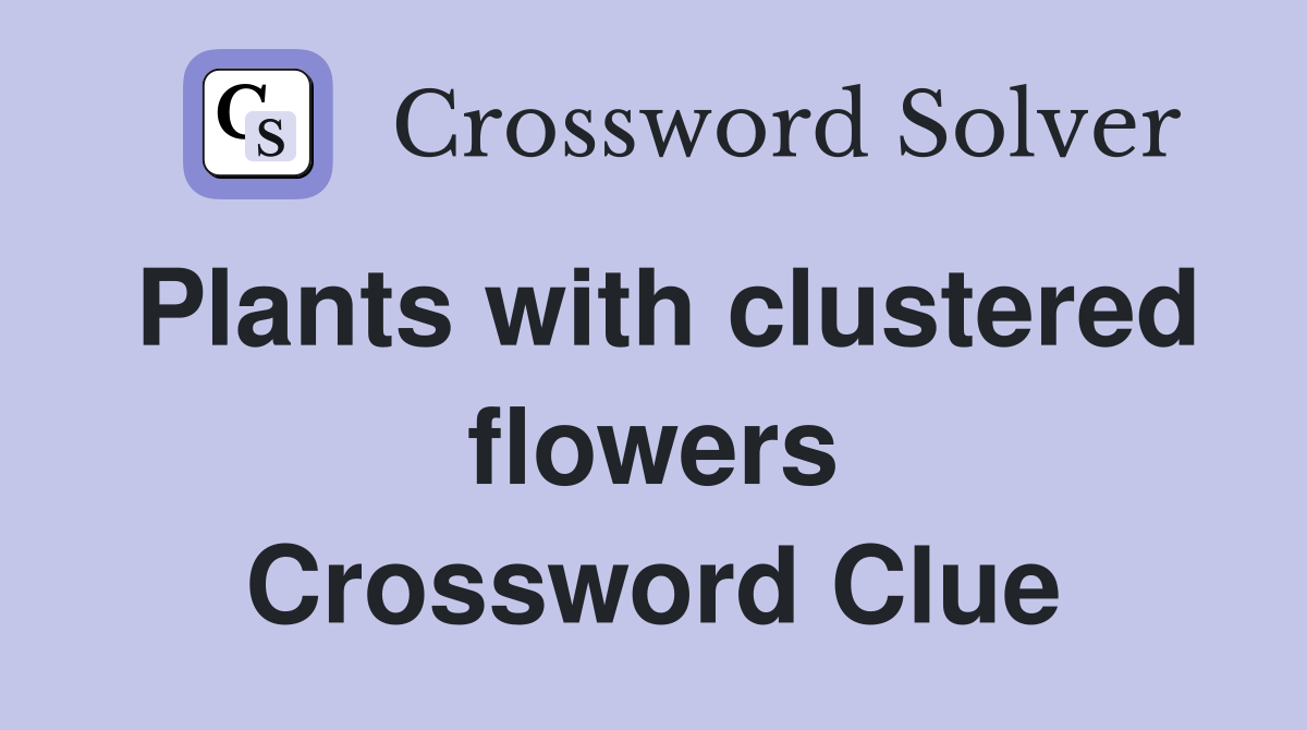 Plants with clustered flowers Crossword Clue