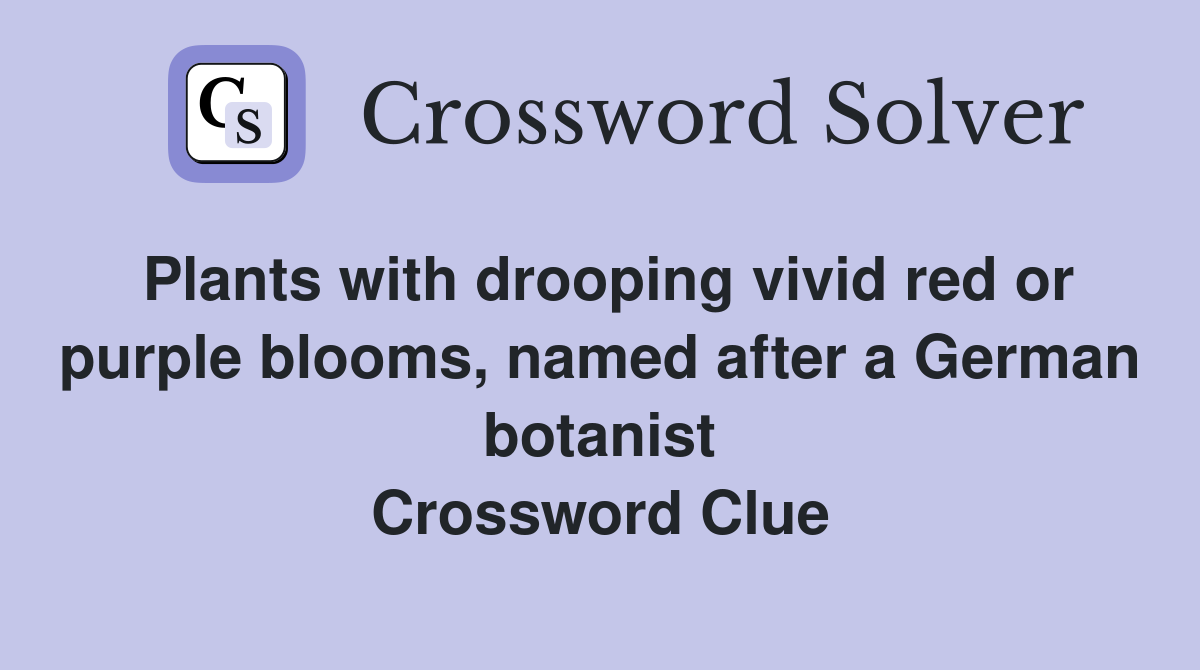 Plants with drooping vivid red or purple blooms, named after a German botanist Crossword Clue