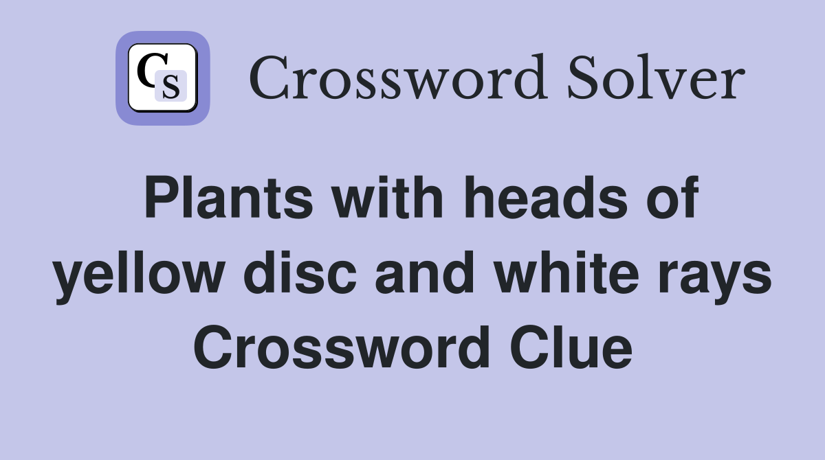 Plants with heads of yellow disc and white rays Crossword Clue