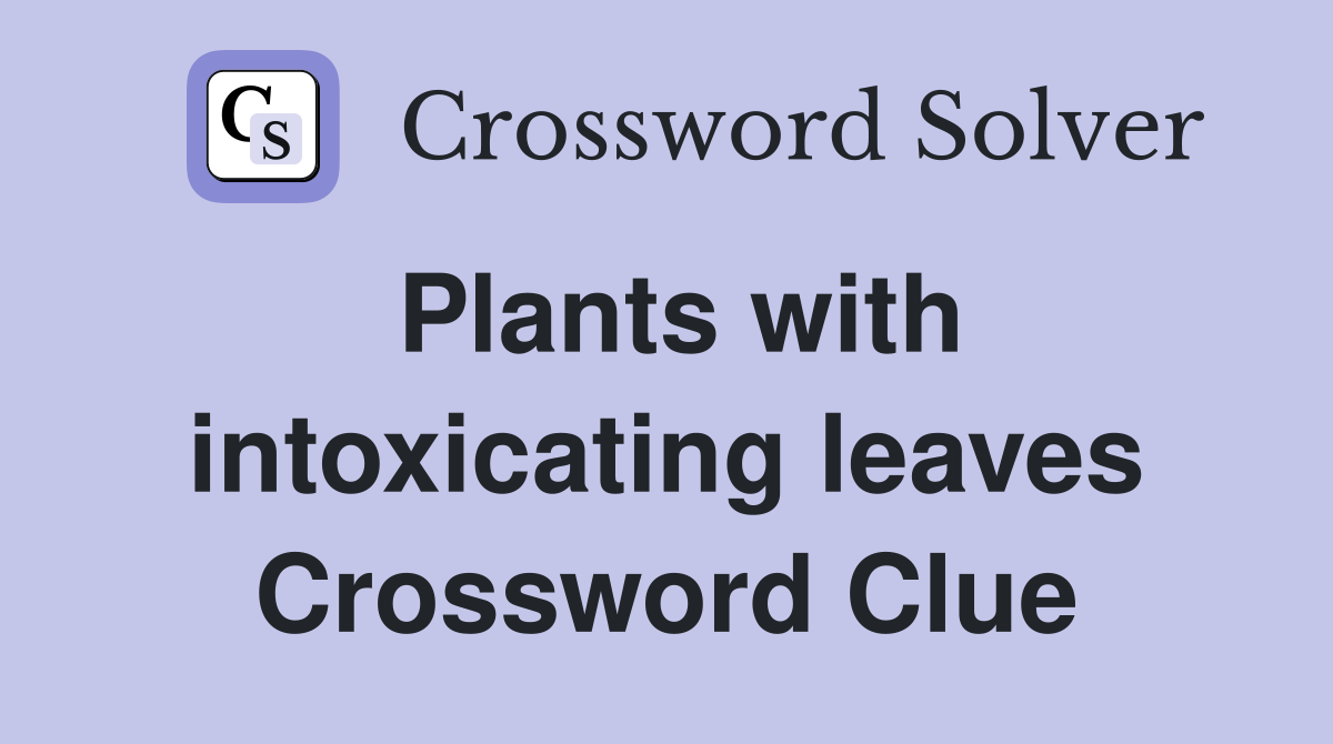 Plants with intoxicating leaves Crossword Clue