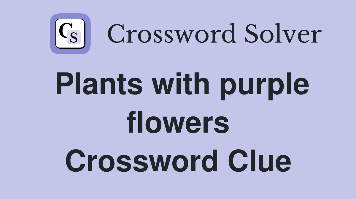 Plants with purple flowers Crossword Clue
