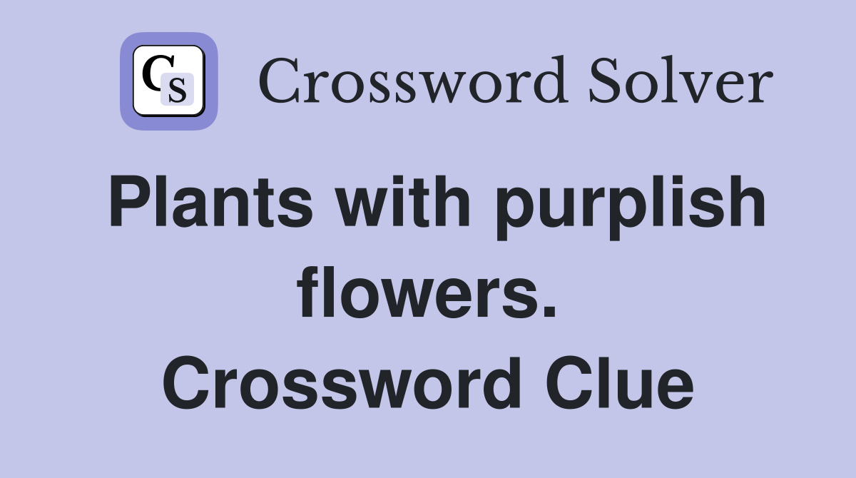 Plants with purplish flowers. Crossword Clue