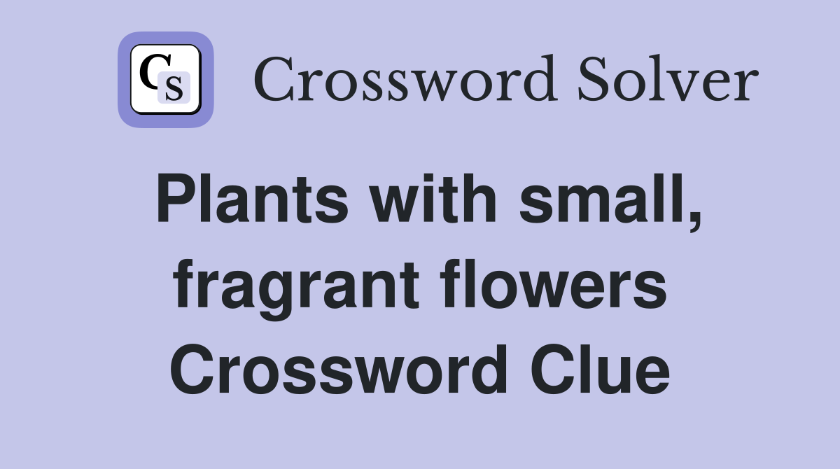 Plants with small, fragrant flowers Crossword Clue