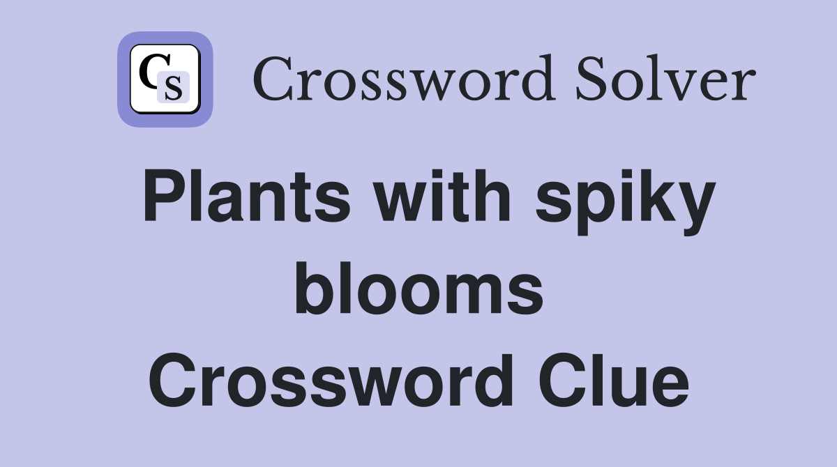 Plants with spiky blooms Crossword Clue