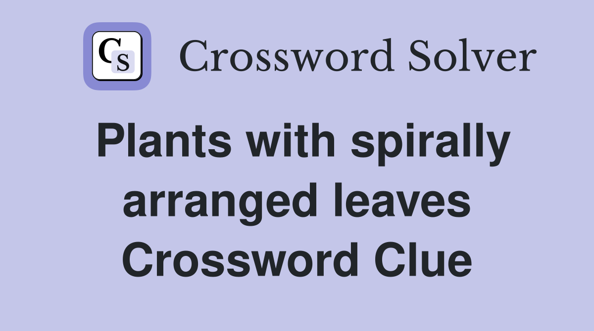 Plants with spirally arranged leaves Crossword Clue