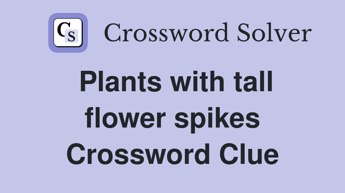 Plants with tall flower spikes Crossword Clue