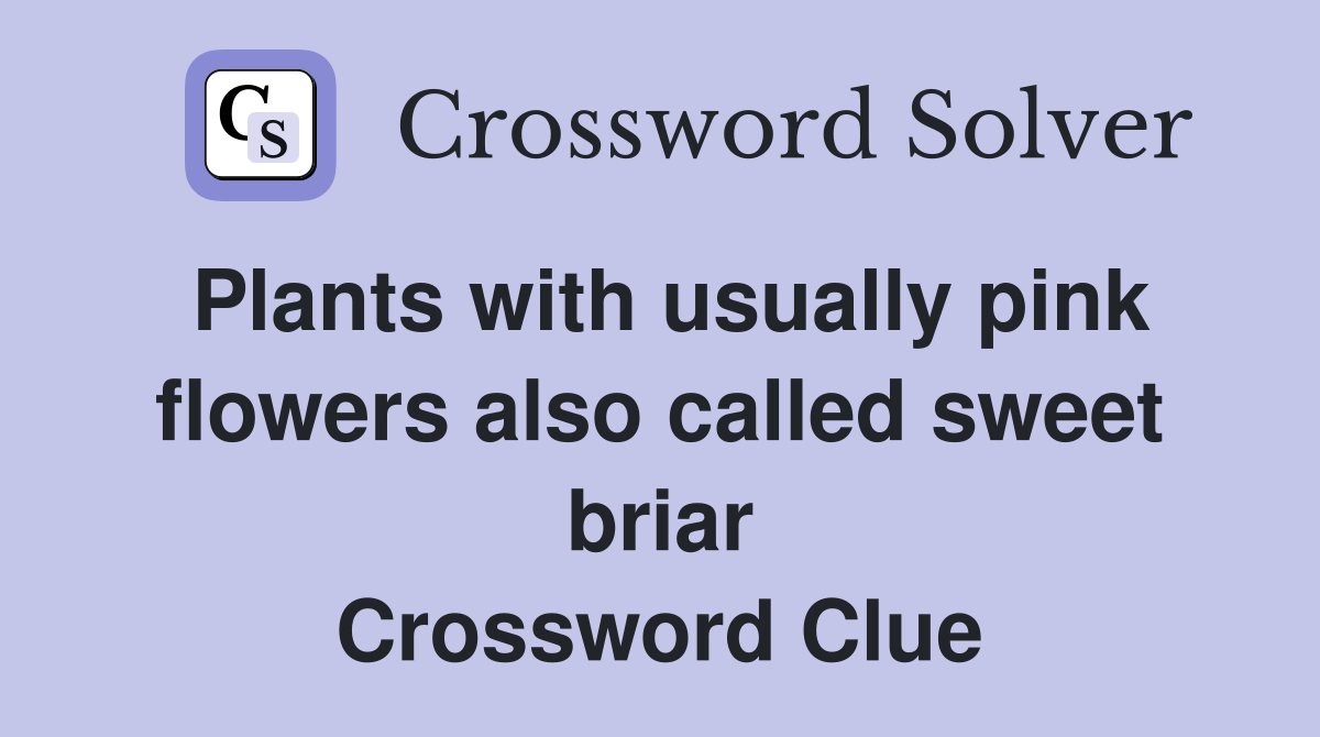Plants with usually pink flowers also called sweet briar Crossword Clue