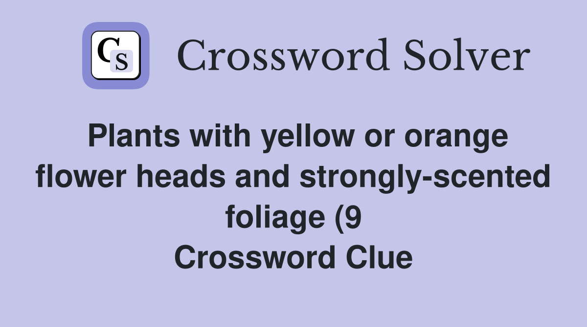 Plants with yellow or orange flower heads and strongly scented foliage Plants with yellow or orange flower heads and strongly scented foliage