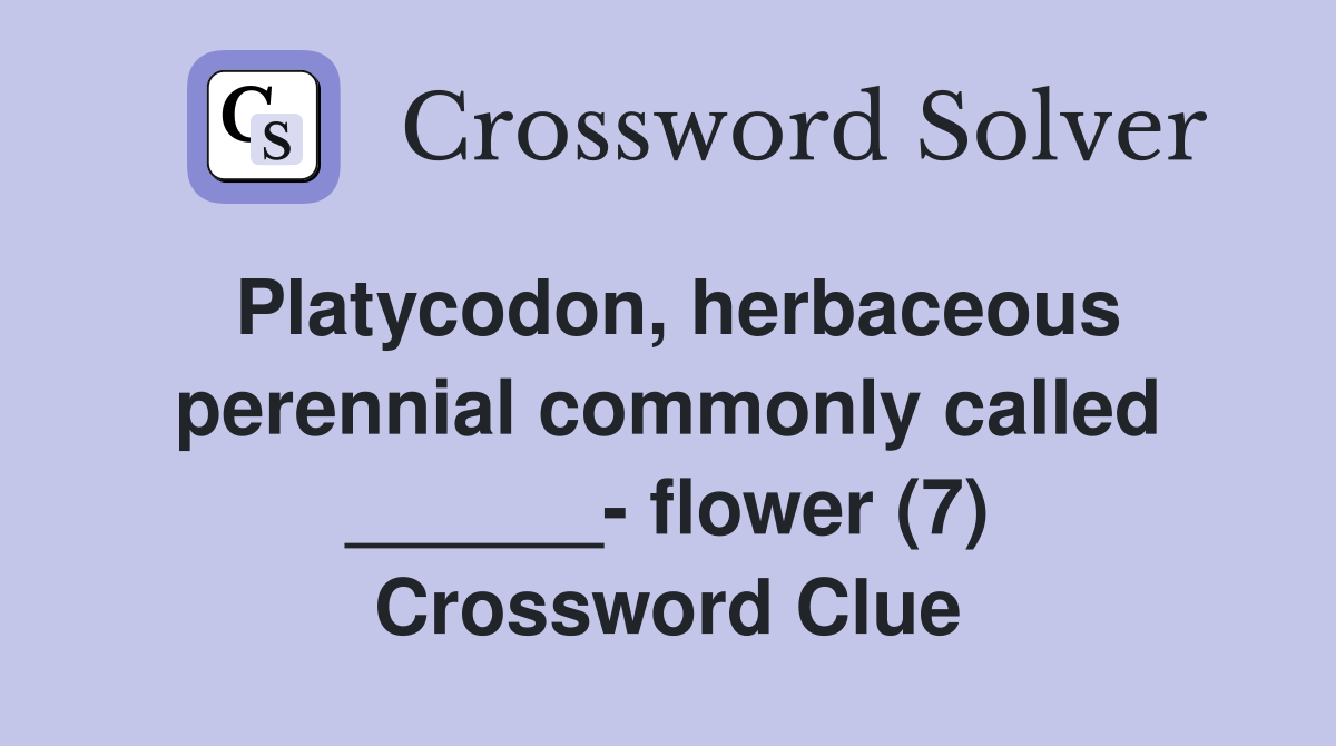 Platycodon, herbaceous perennial commonly called ______- flower (7) Crossword Clue
