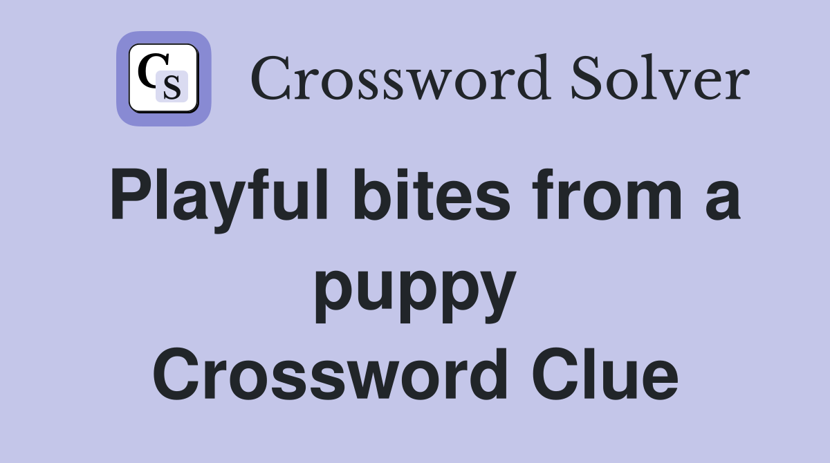 Playful bites from a puppy Crossword Clue