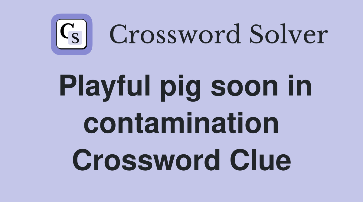 Playful pig soon in contamination Crossword Clue
