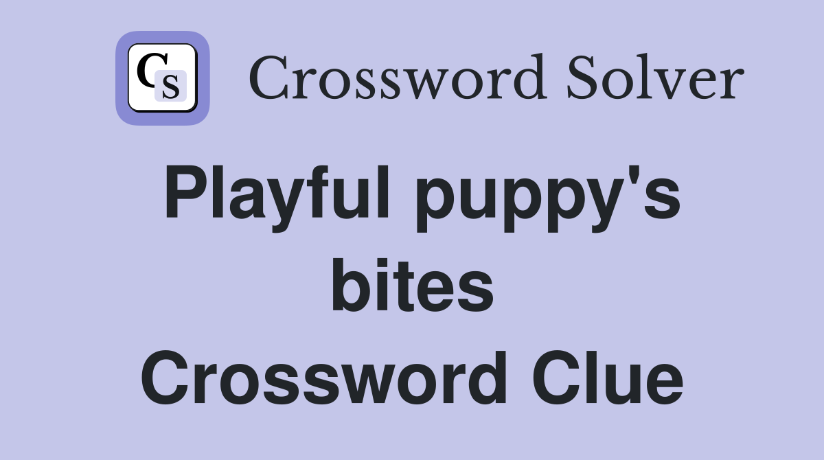 Playful puppy's bites Crossword Clue