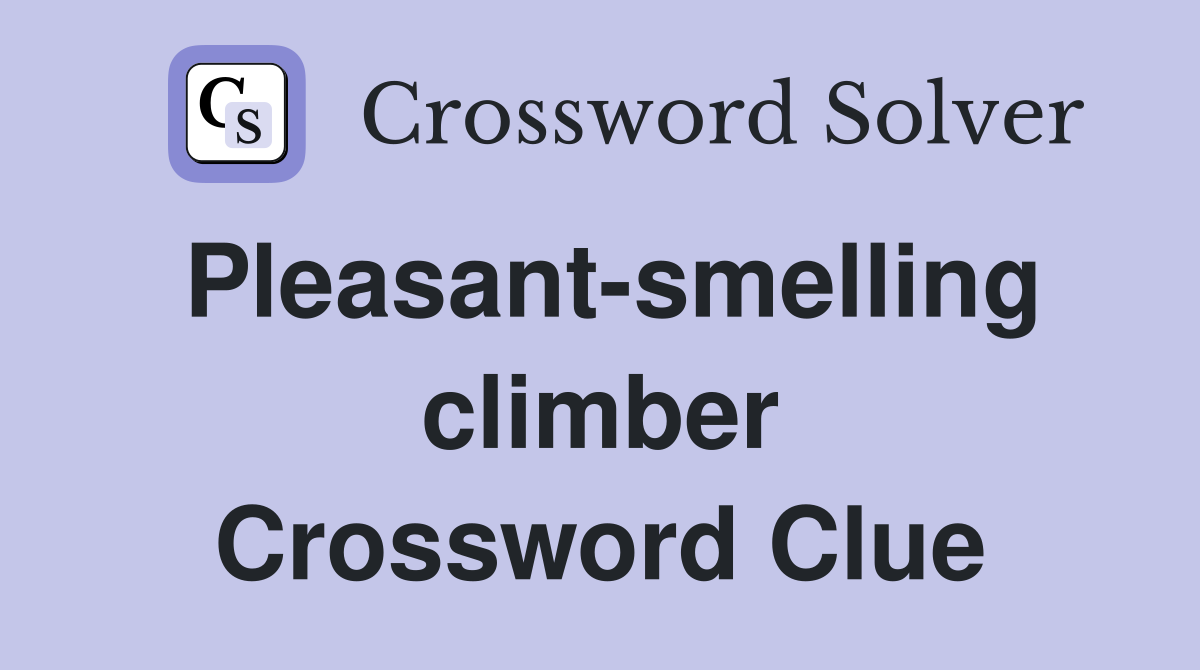 Pleasant-smelling climber Crossword Clue