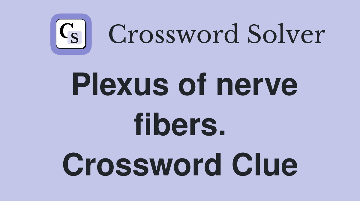 Plexus of nerve fibers. Crossword Clue