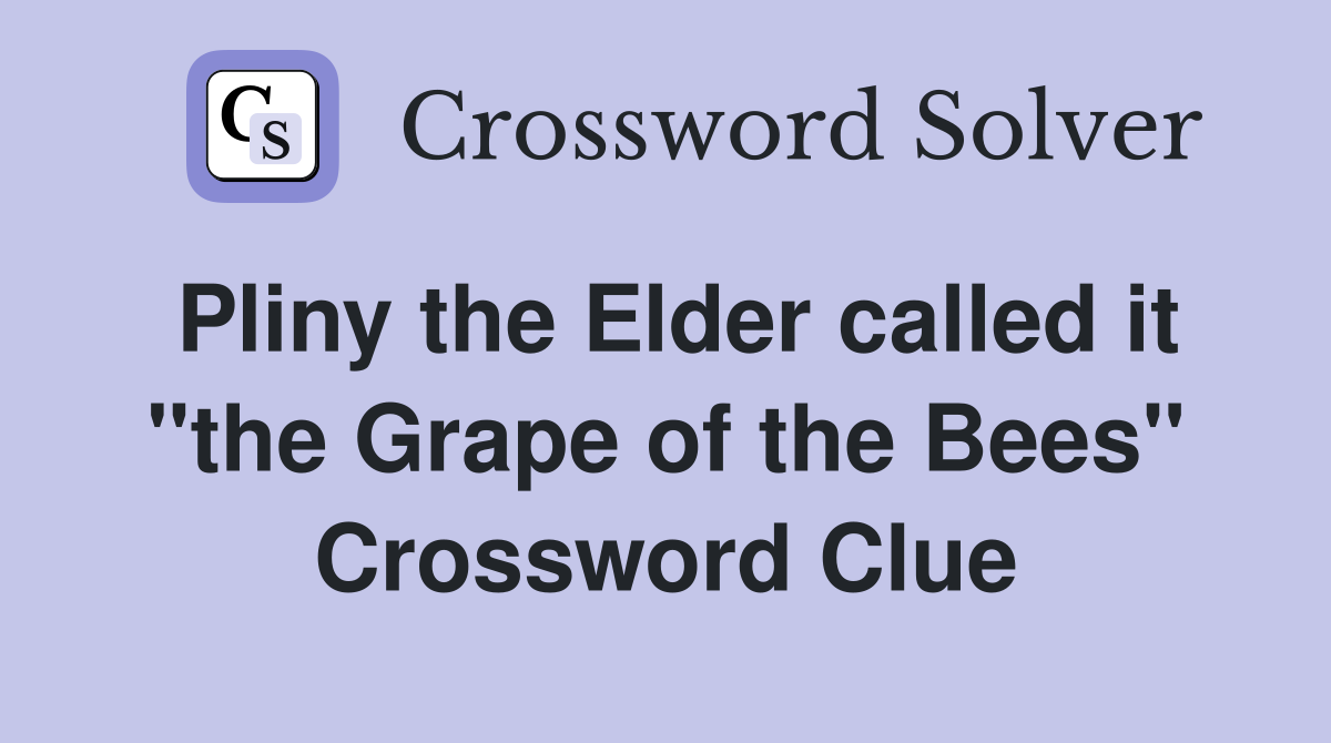 Pliny the Elder called it "the Grape of the Bees" Crossword Clue