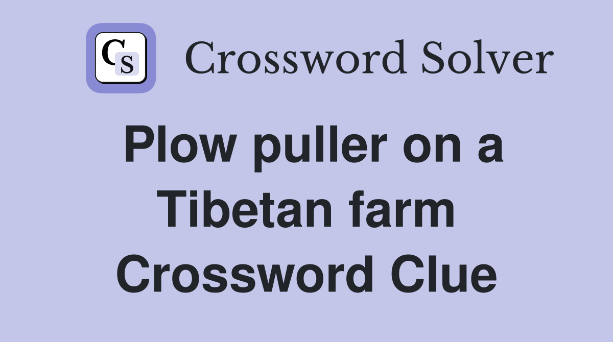 Plow puller on a Tibetan farm Crossword Clue