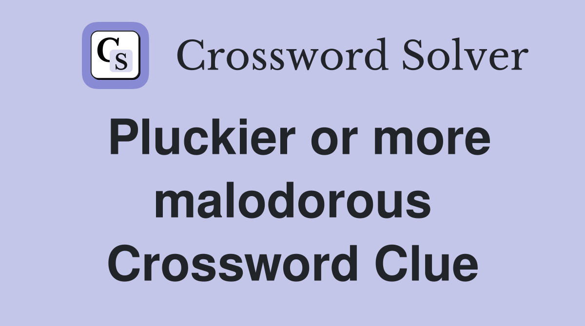 Pluckier or more malodorous Crossword Clue