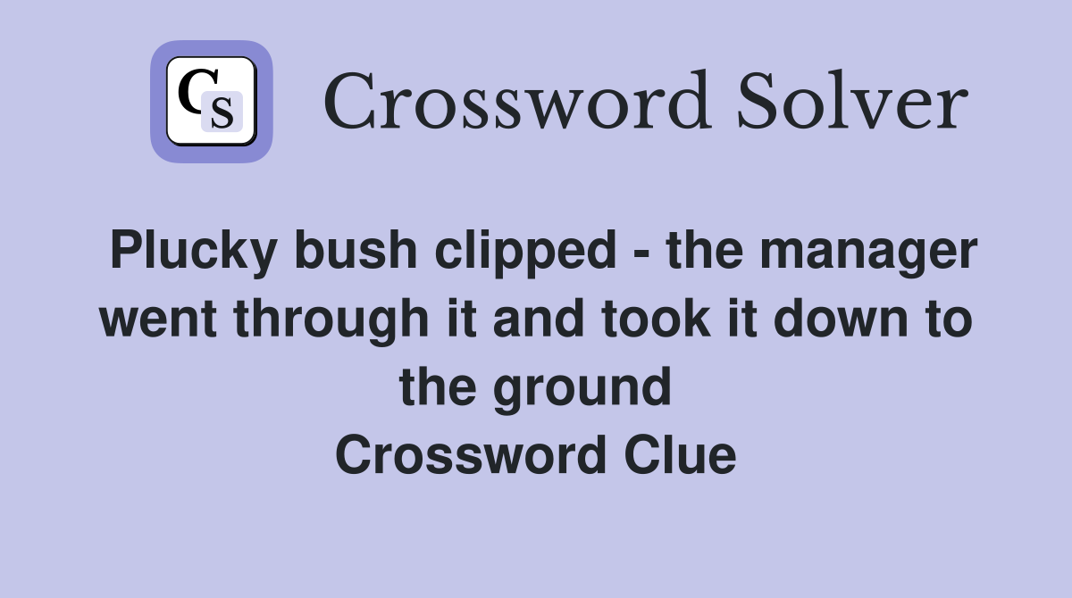 Plucky bush clipped - the manager went through it and took it down to the ground Crossword Clue