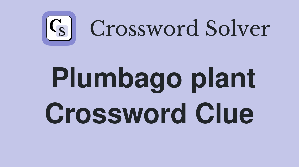Plumbago plant Crossword Clue