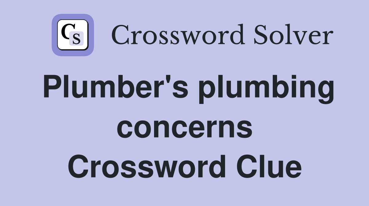 Plumber's plumbing concerns Crossword Clue
