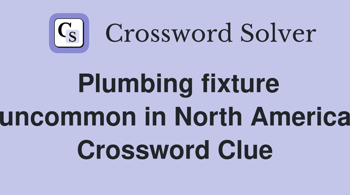 Plumbing fixture uncommon in North America Crossword Clue
