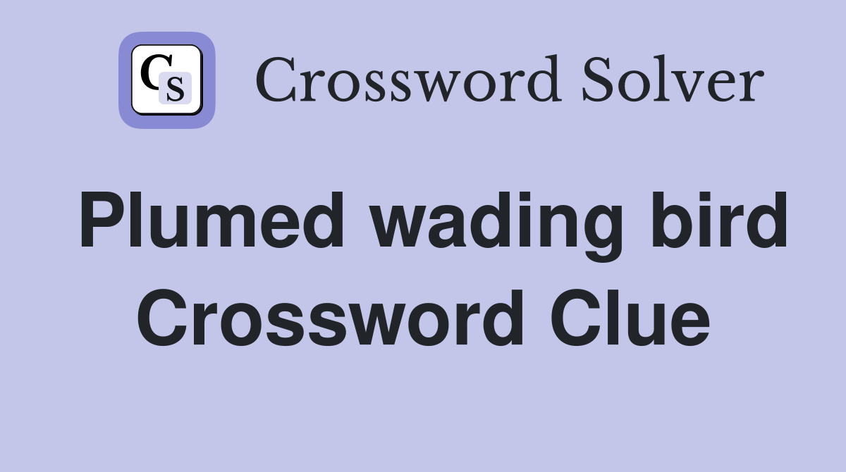 Plumed wading bird Crossword Clue