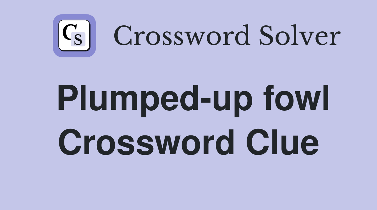 Plumped-up fowl Crossword Clue