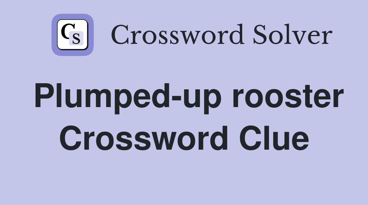 Plumped-up rooster Crossword Clue