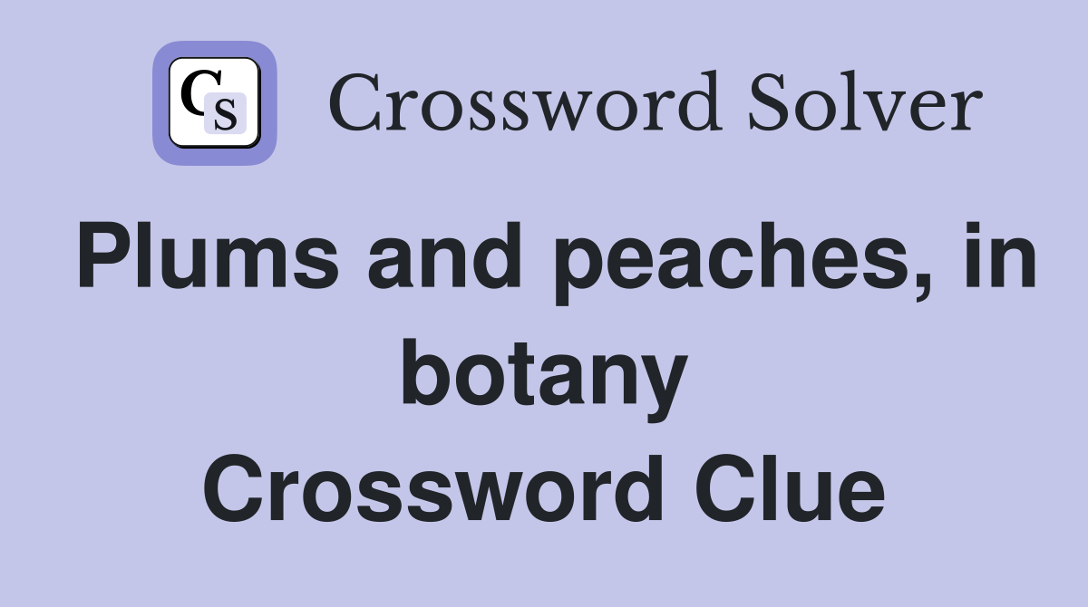 Plums and peaches, in botany Crossword Clue