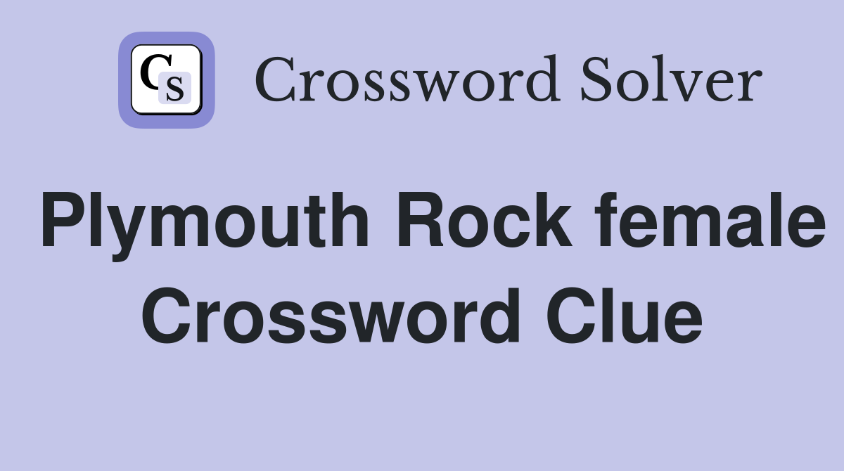Plymouth Rock female Crossword Clue